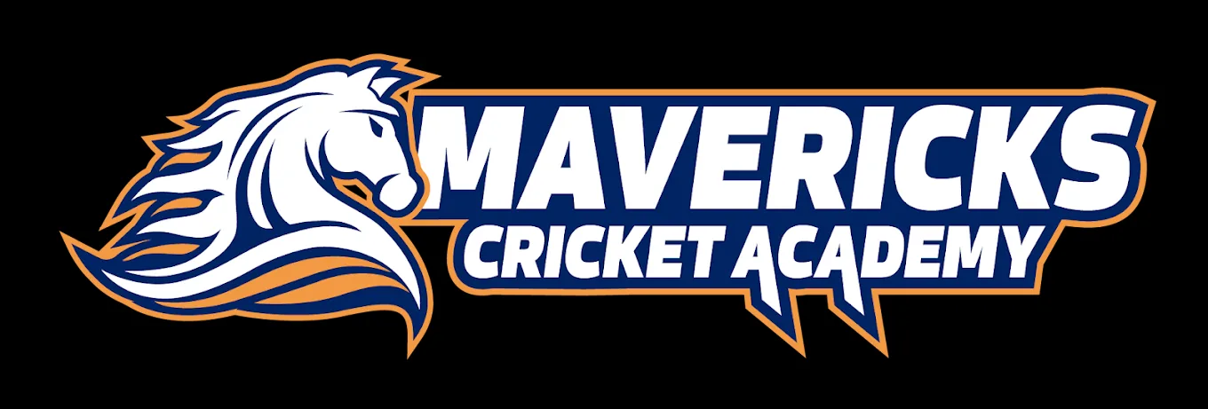 Mavericks Cricket Academy (Indoor) Cricket academy photo