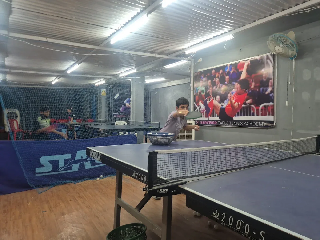 SERVIVOR TABLE TENNIS ACADEMY Table tennis academy photo