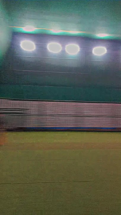 OTT - One Tip Turf Sports academy photo