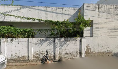cricket academy sports academy in Lucknow