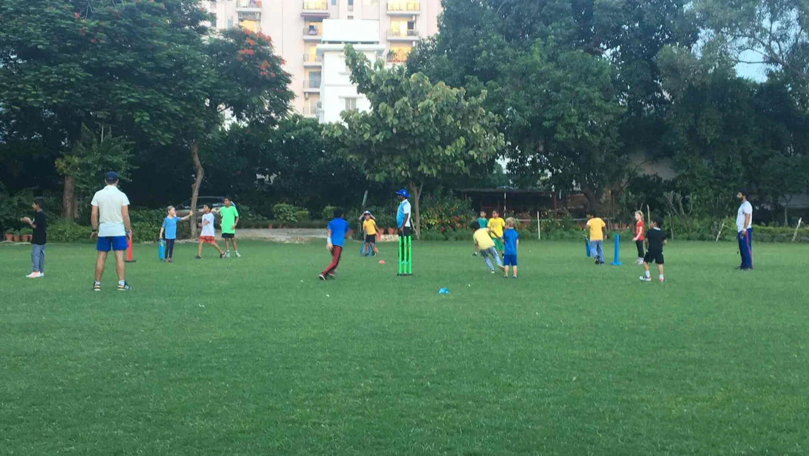 Super Six Cricket Academy Cricket academy photo
