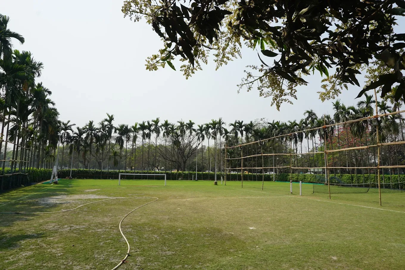 Dalhousie Athletic Club Sports academy photo