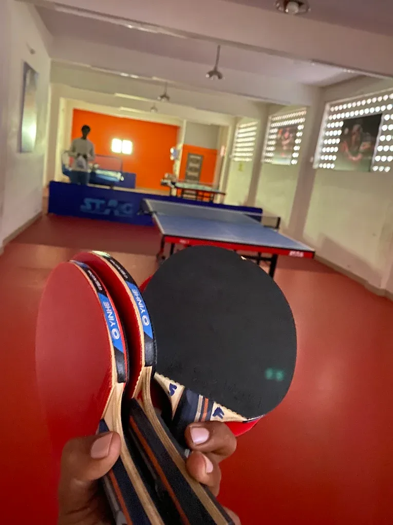 Sports Frenzy Table tennis academy photo
