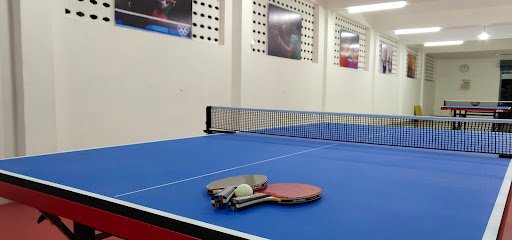 Sports Frenzy Table tennis academy photo