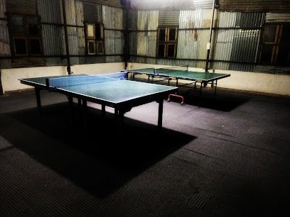 Table Tennis Training at Savarirajan T.T Academy (Nungambakkam) Table tennis academy photo
