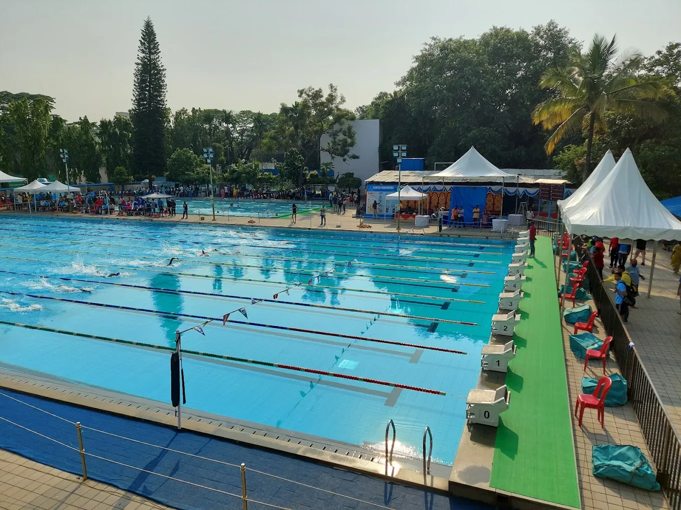 Basavanagudi Aquatic Centre Swimming academy photo