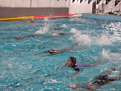 Blue Dolphin Swim Club Swimming academy photo