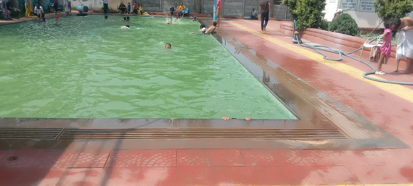Paradise Swimming Pool Swimming academy photo