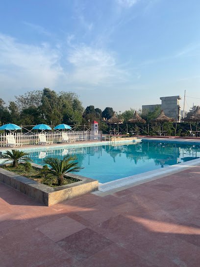 AK Farm & Swimming Pool Swimming academy photo