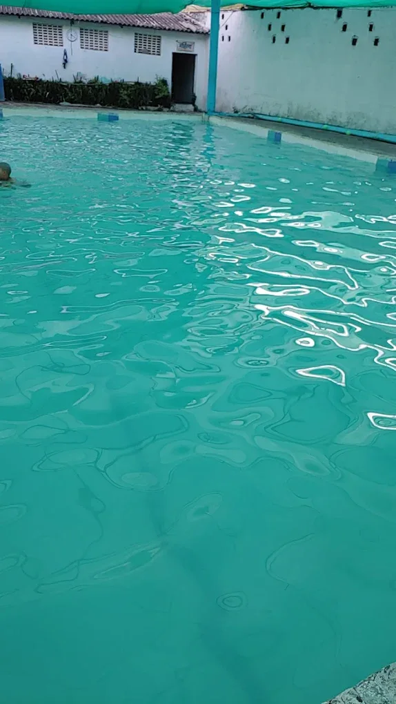 Hetro Swimming Pool Swimming academy photo