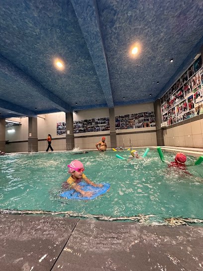 M.K. Swimming Club Swimming academy photo
