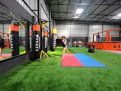 SRA MMA - Premium Martial Arts & Combat Gym Martial Arts academy photo