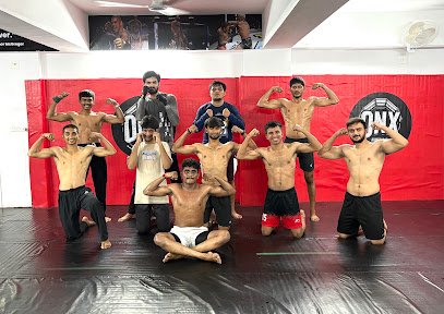 ONX MMA CLUB Boxing academy photo