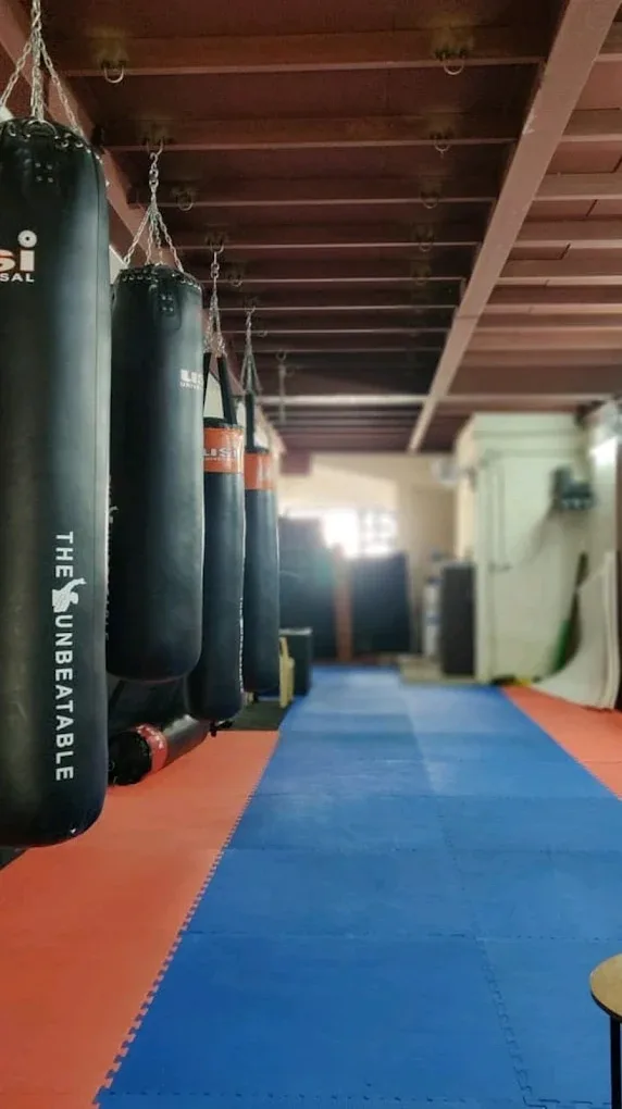 Pro Action MMA Gym of Guru Hemang Boxing academy photo