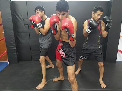 NFT Martial Arts BJJ Academy Boxing academy photo