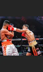 ONE PUNCH CLUB Boxing academy photo