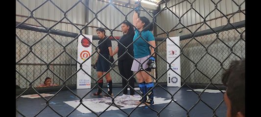 MMA & Crossfitness India Martial Arts academy photo