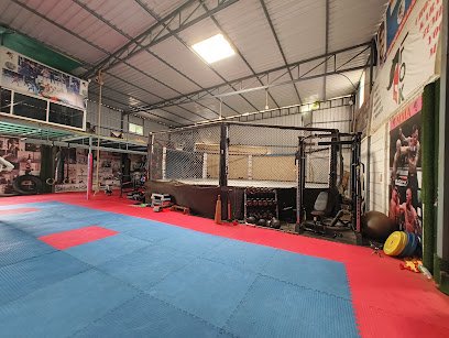 MMA ACADEMY (FIGHT OF KNIGHTS) Martial Arts academy photo