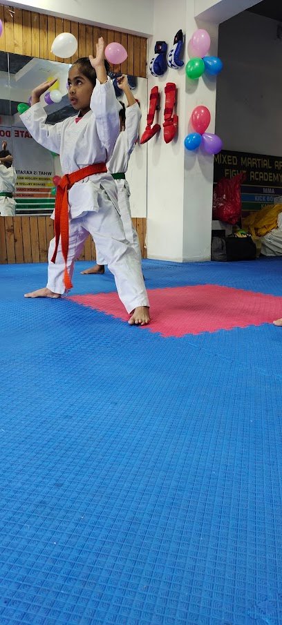 MMA FIGHT ACADEMY Martial Arts academy photo