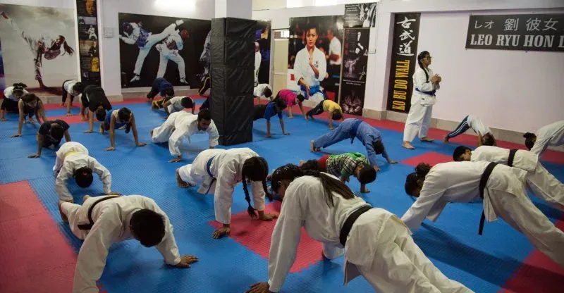 Leo Martial Arts Academy Martial Arts academy photo