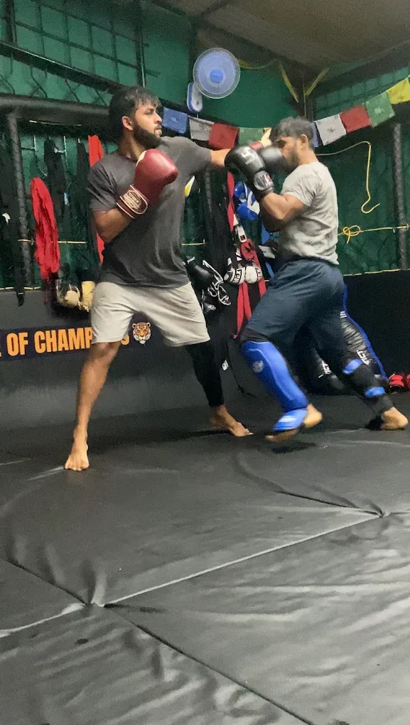 Combat Fitness Clan Boxing academy photo