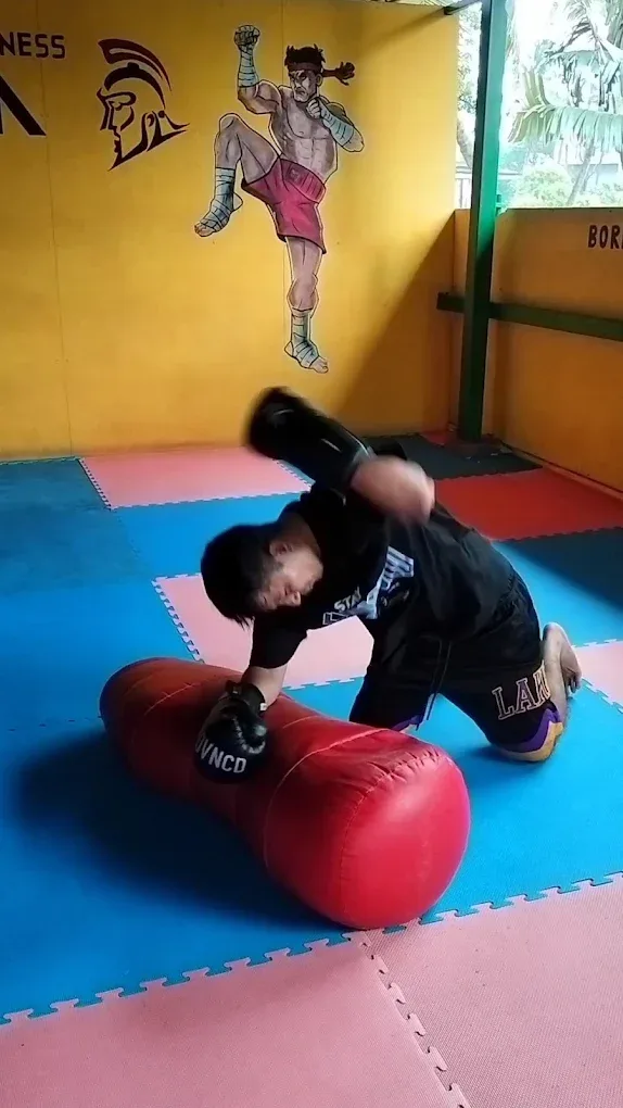 Tashi's Pro Fitness MMA Gym Martial Arts academy photo