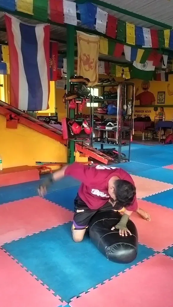 Tashi's Pro Fitness MMA Gym Martial Arts academy photo