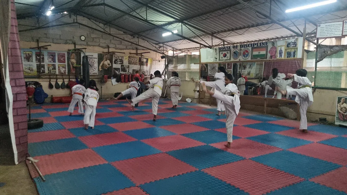 Panther Taekwondo Martial Arts Club AIMAA India Martial Arts academy photo