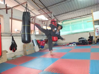 Panther Taekwondo Martial Arts Club AIMAA India Martial Arts academy photo