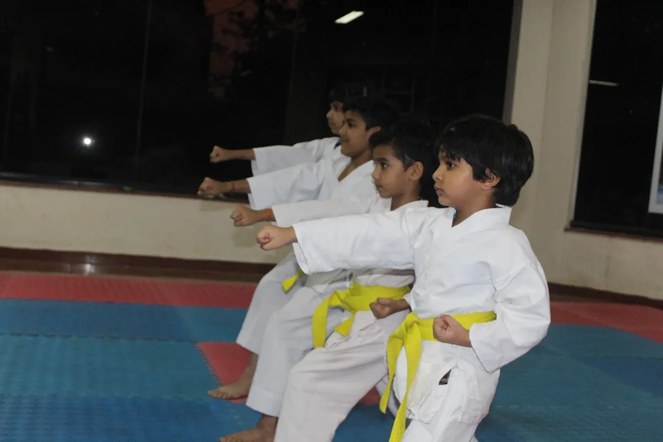 FLYING FEET SPORTS KARATE ACADEMY Karate academy photo