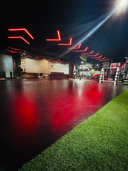 Iconic Fitclub Gym academy photo