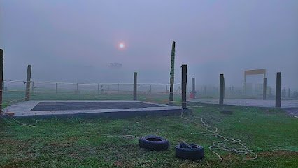 OSMMA Academy (Old School of Mixed Martial Arts) Boxing academy photo
