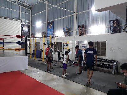 DMS Academy Of Pro Wrestling Wrestling academy photo
