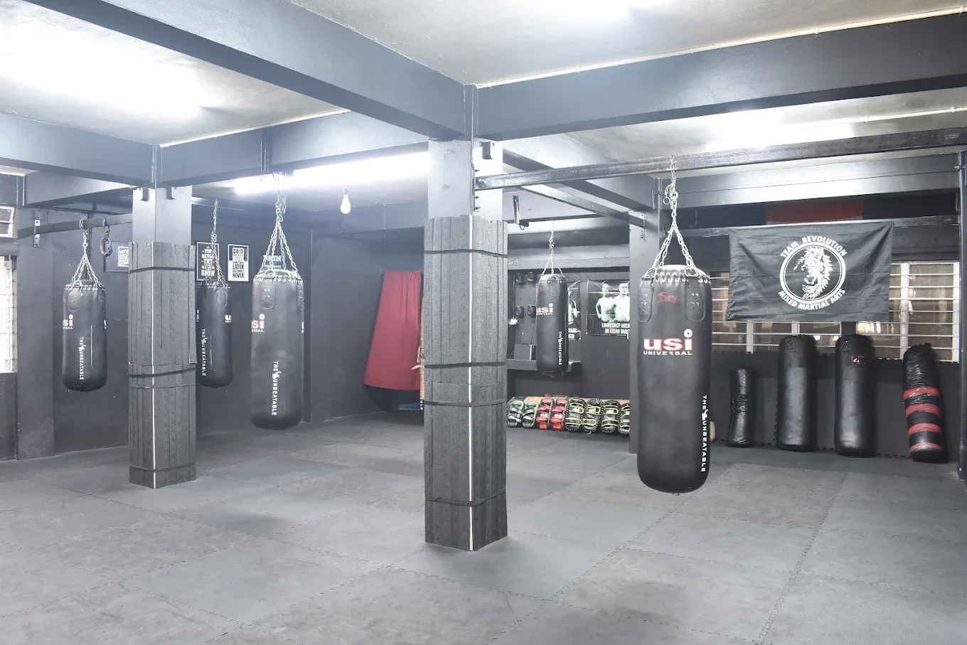 The Revolution MMA & Fitness Martial Arts academy photo