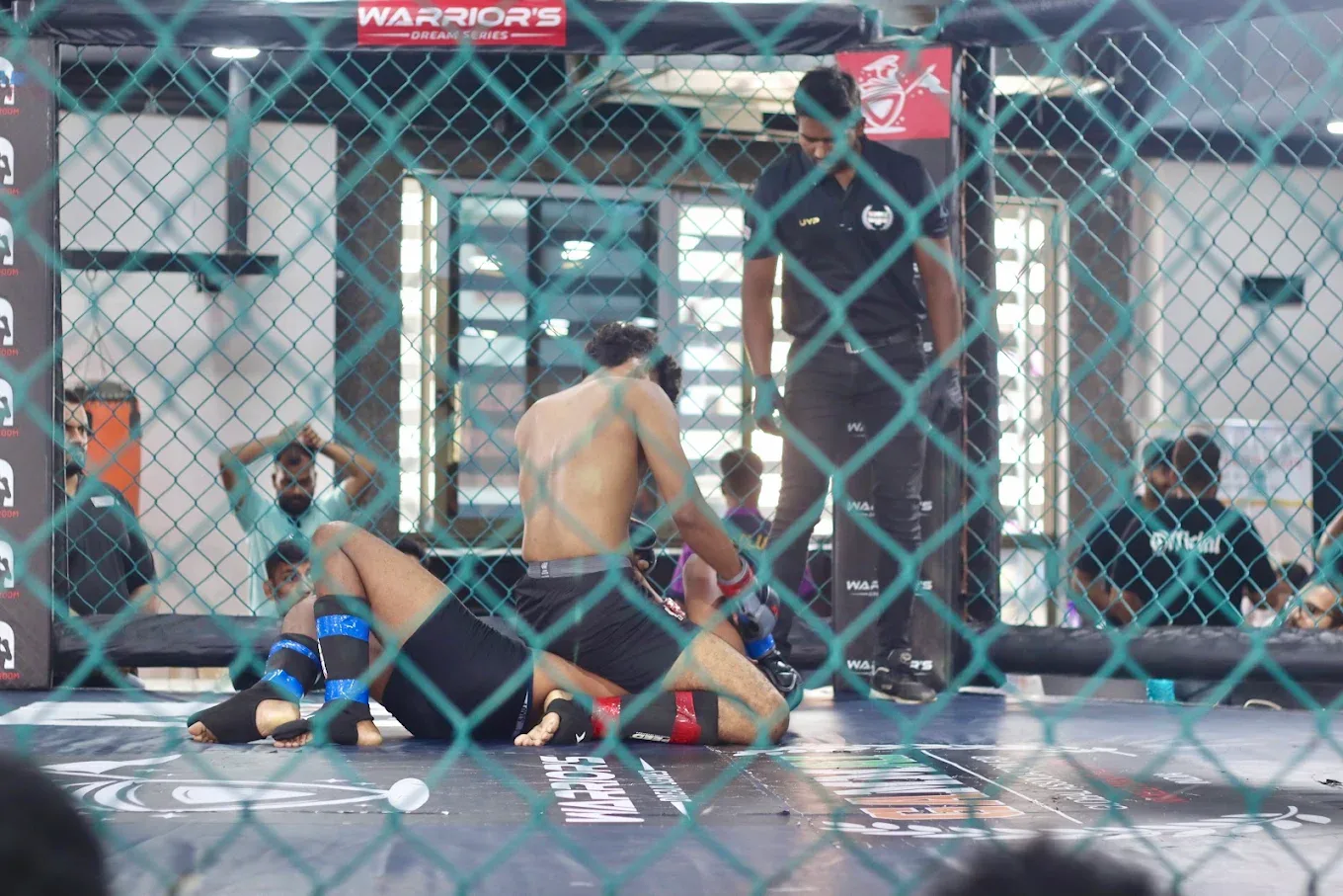 MMA MADNESS ACADEMY Martial Arts academy photo
