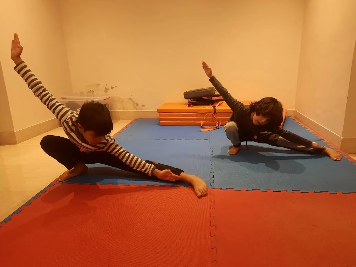 Aaftab Sheikh - Corporates Tai Chi & Qi Gong Wellness Martial arts academy photo