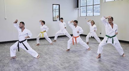 MMA TIGERS Martial Arts Delhi. Martial arts academy photo