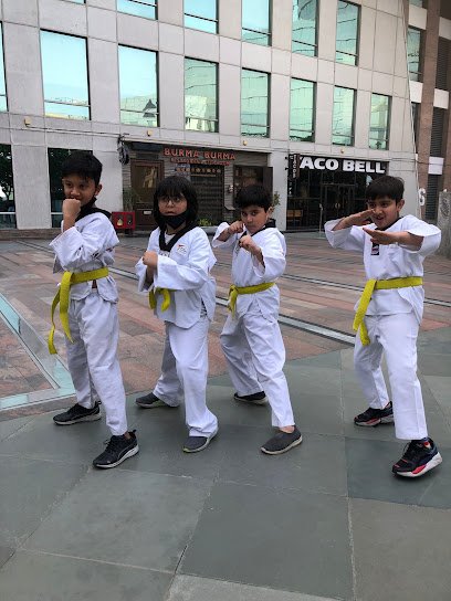 TAEDAS ACADEMY PVT. LTD. Martial arts academy photo