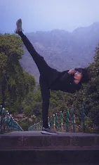 Martial arts/Kung fu training center Martial arts academy photo