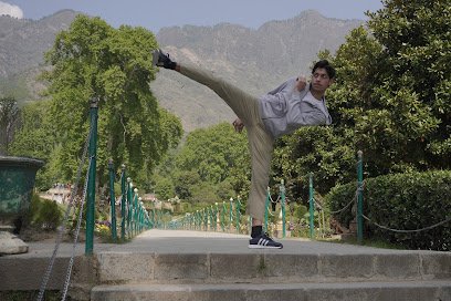 Martial arts/Kung fu training center Martial arts academy photo