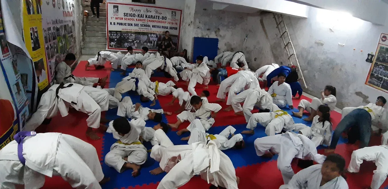 Raha Memorial Karate Academy of Jaipur Martial arts academy photo