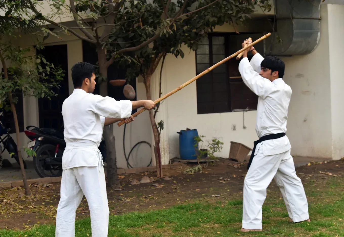 LEO Martial Arts Academy Martial arts academy photo
