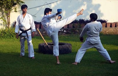 LEO Martial Arts Academy Martial arts academy photo