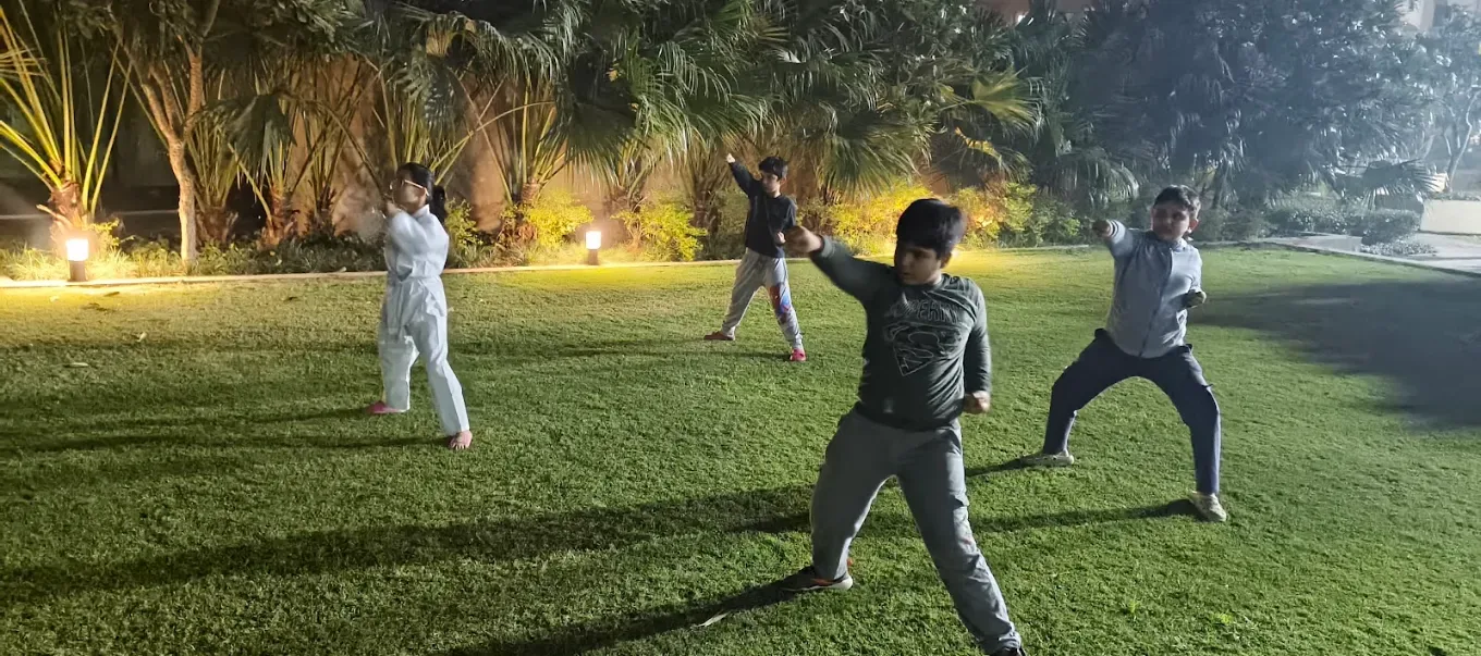 UFO MARTIAL ART ACADEMY SOHNA Karate academy photo