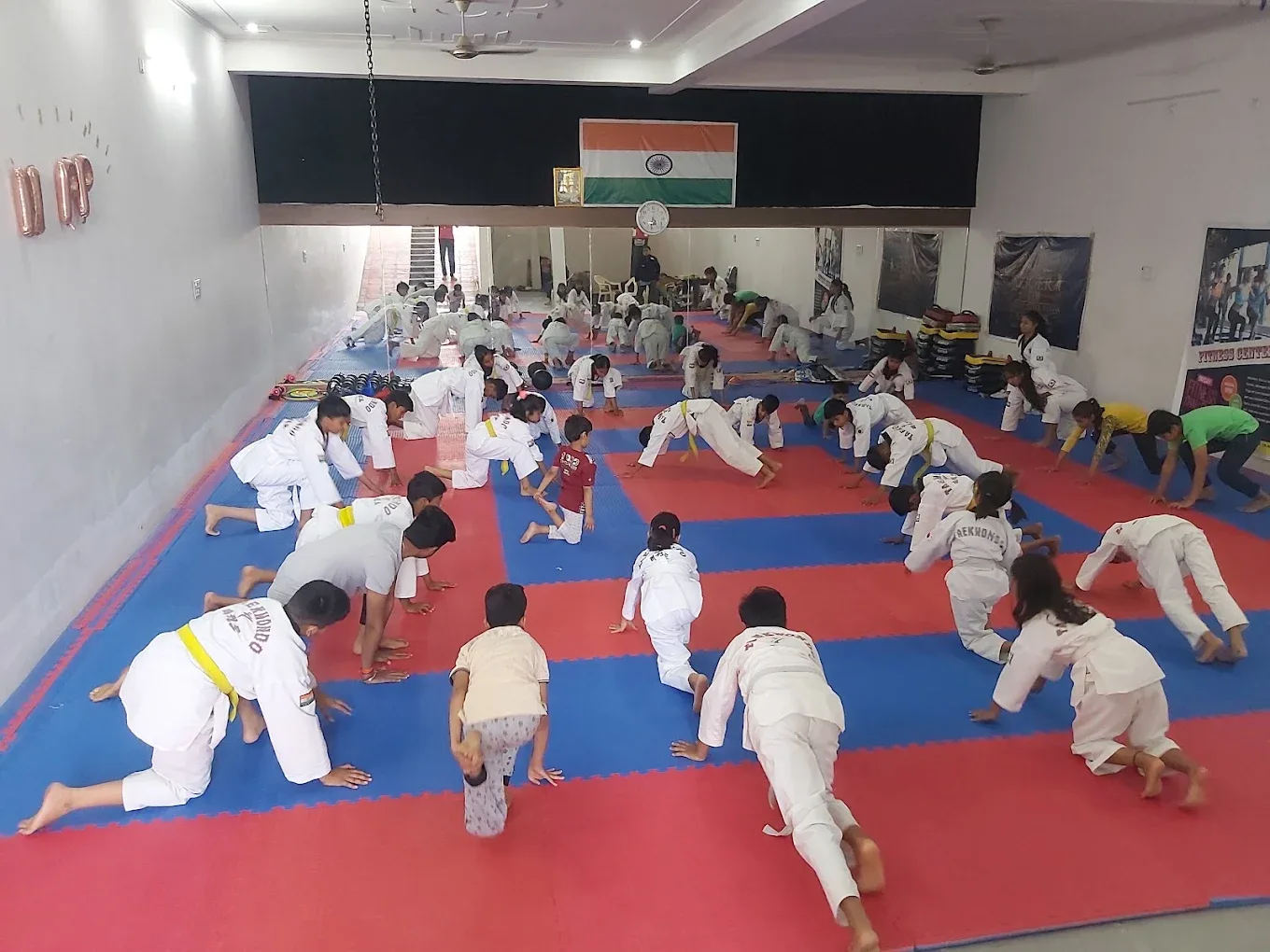 The Tiger Martial Arts and Fitness Academy Martial arts academy photo