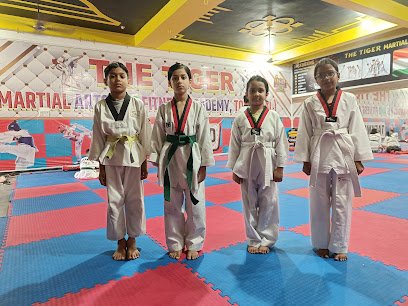 The Tiger Martial Arts and Fitness Academy Martial arts academy photo