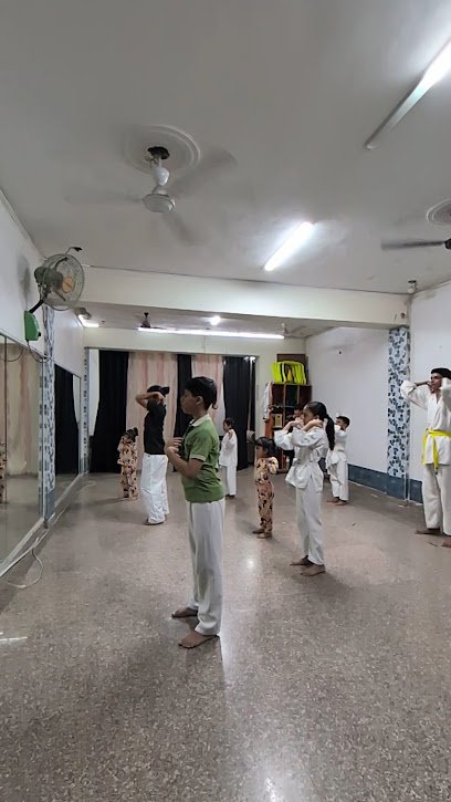 Shadow Martial arts Academy Gurugram Karate academy photo
