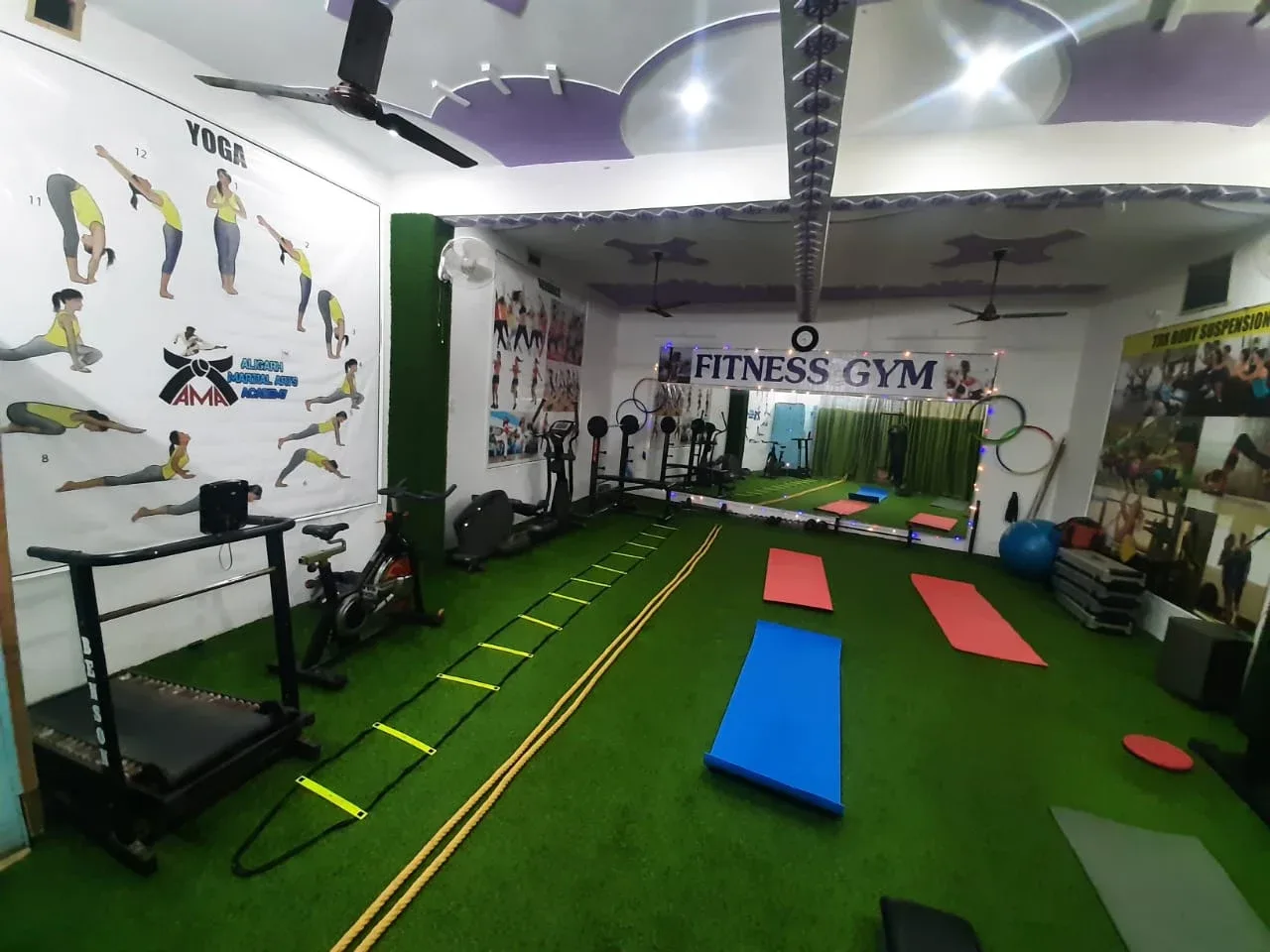 Aligarh Martial Arts Academy, Aligarh Martial arts academy photo