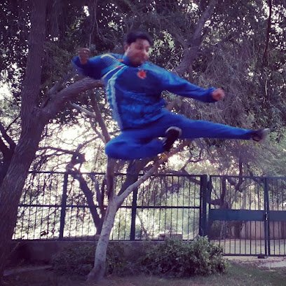 Fighting Machine Academy Martial arts academy photo