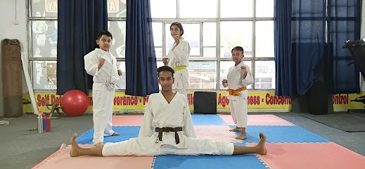 V.V. Martial Arts Academy Karate academy photo